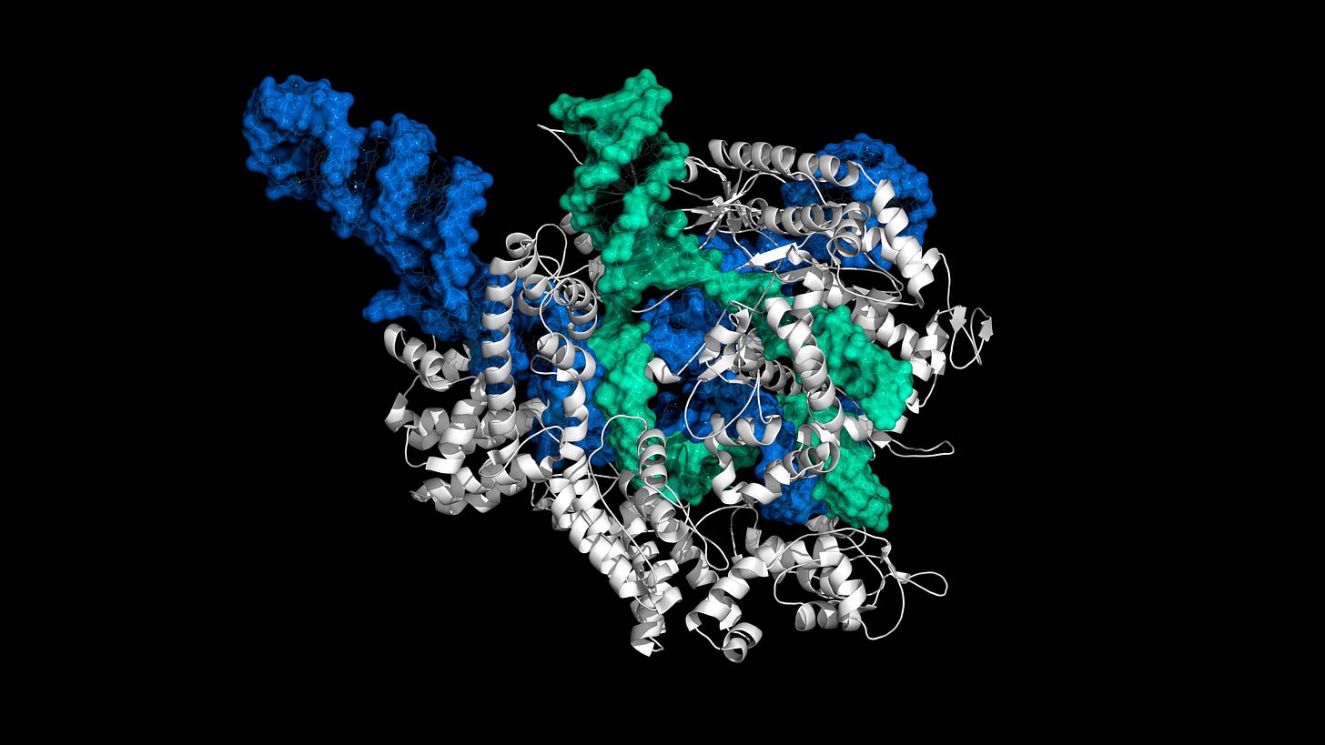 What is CRISPR?