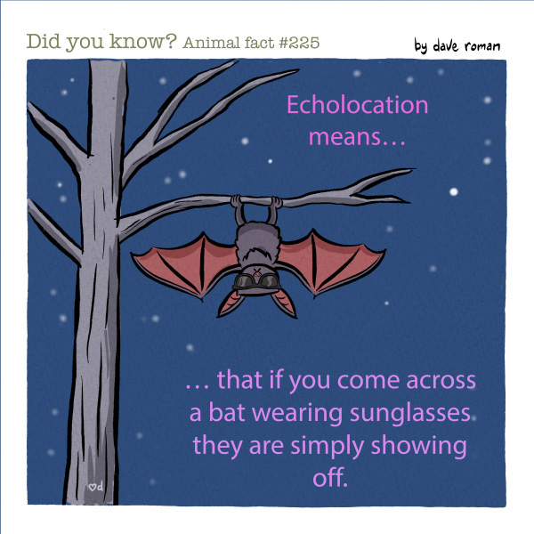 A bat is hanging from a tree branch at night and wearing sunglasses. The words say Bats hear by using echolocation so if you see a bat wearing sunglasses they are simply showing off.