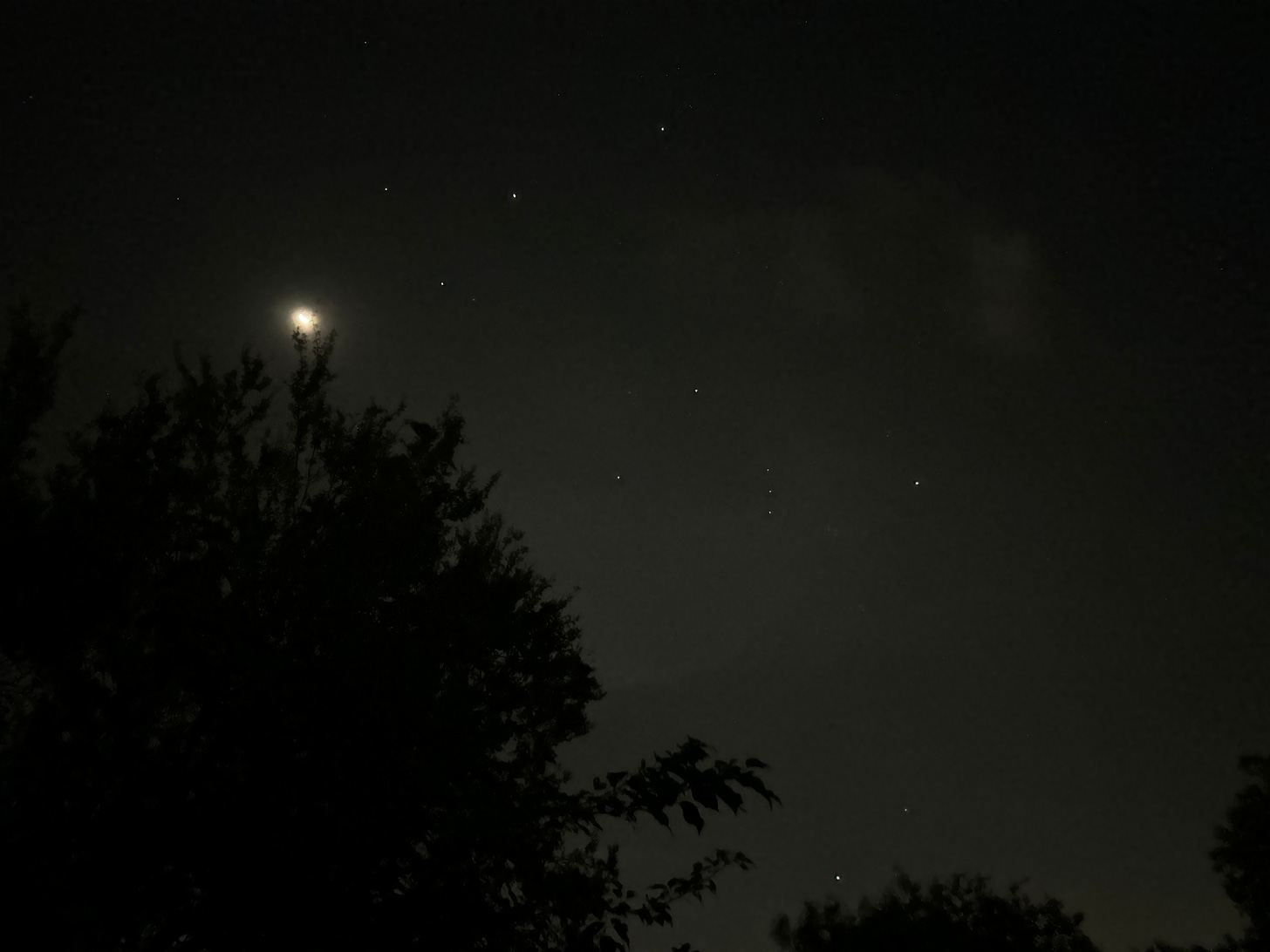 Crescent moon, planets and stars above treeline in the eastern morning sky