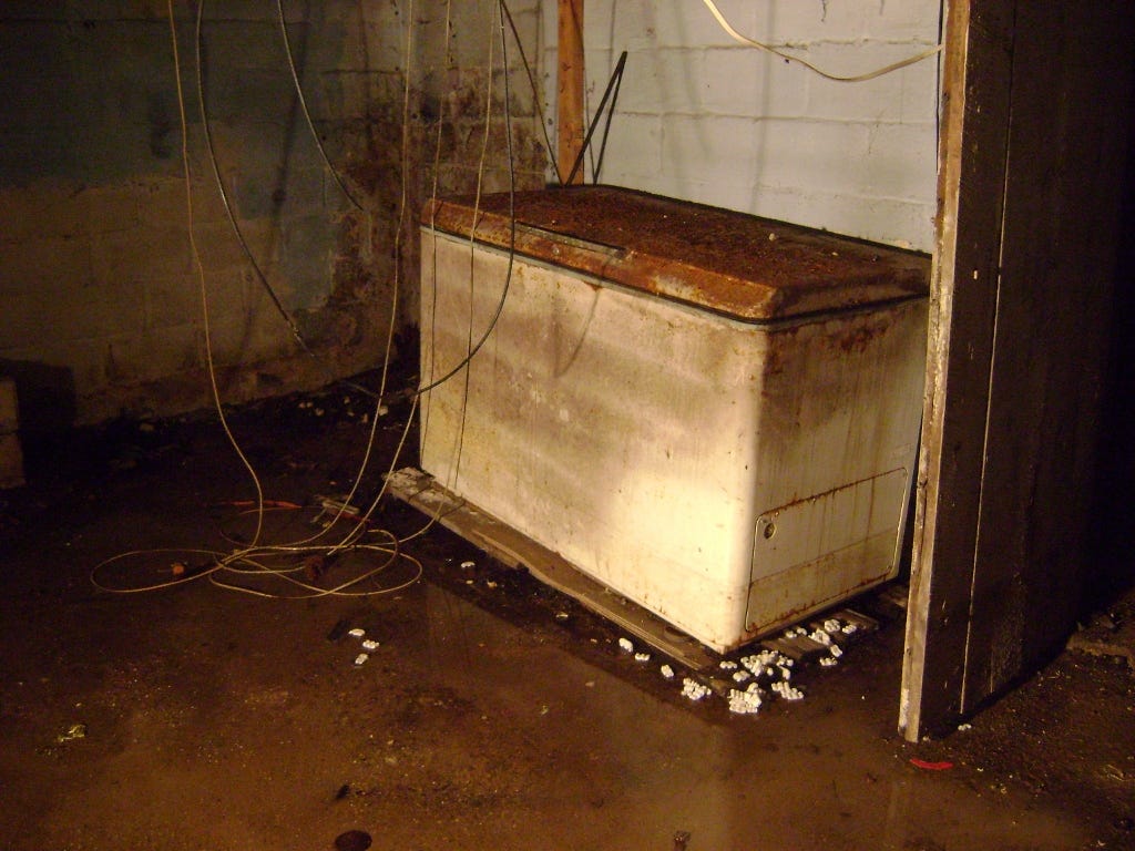 RS: how to pry a half-ton monster freezer out of your basement and live to  tell the tale | la corbeille