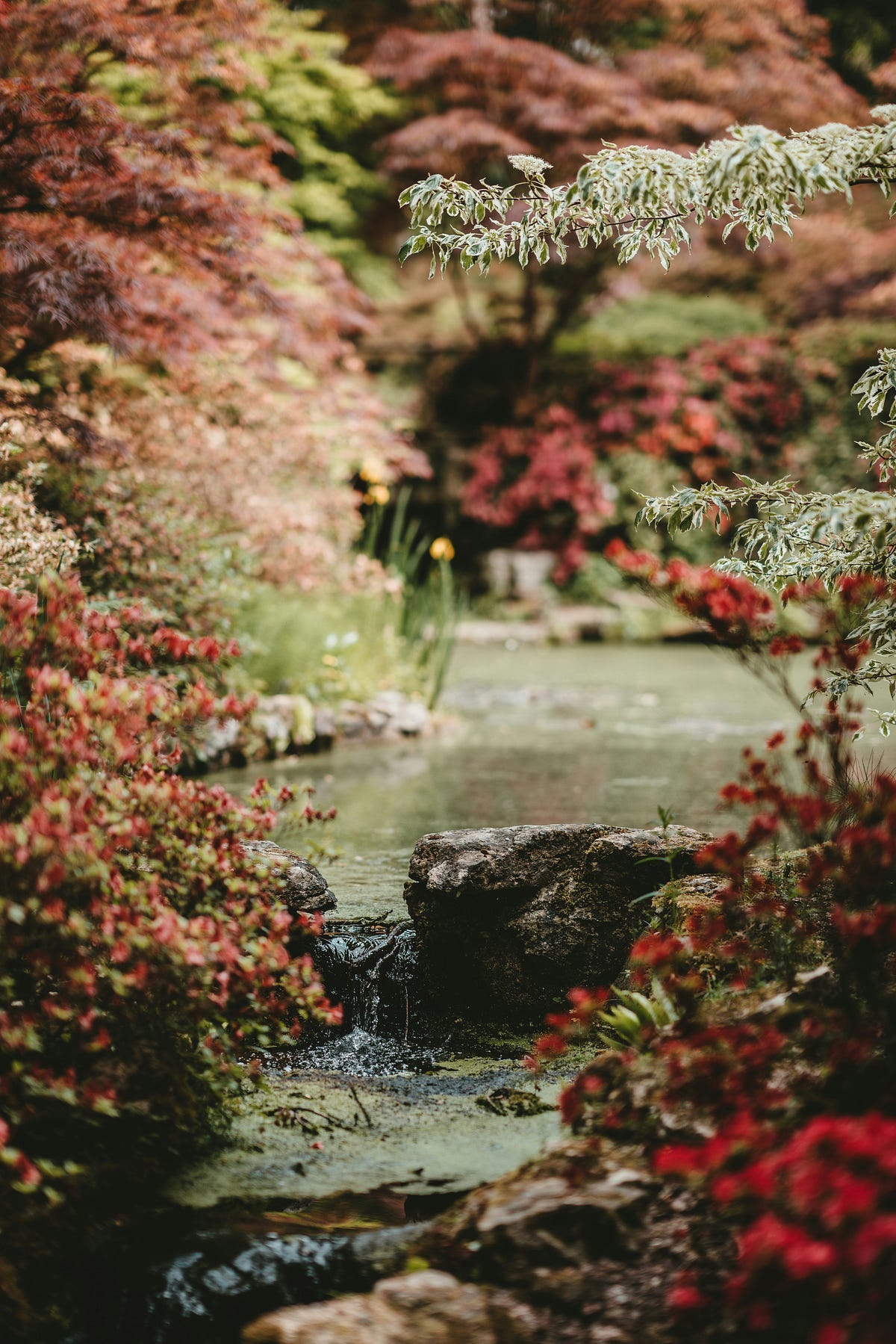 A river and a stream A river and a stream