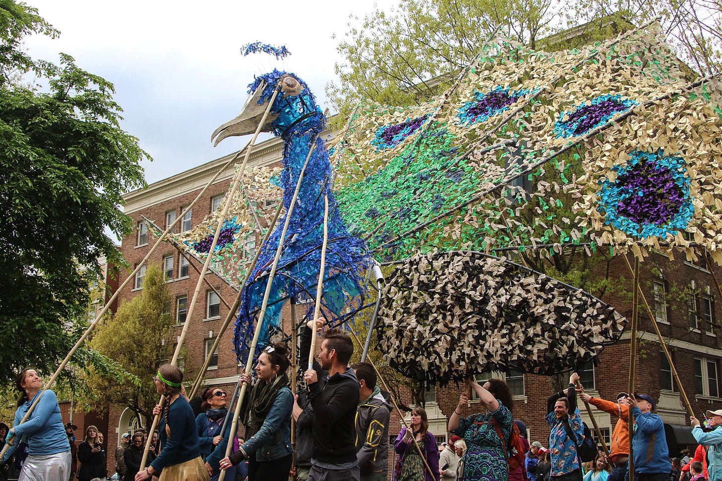 Photo of the Procession of the Species parade featuring several people holding up a large paper peacock as they march down the road.