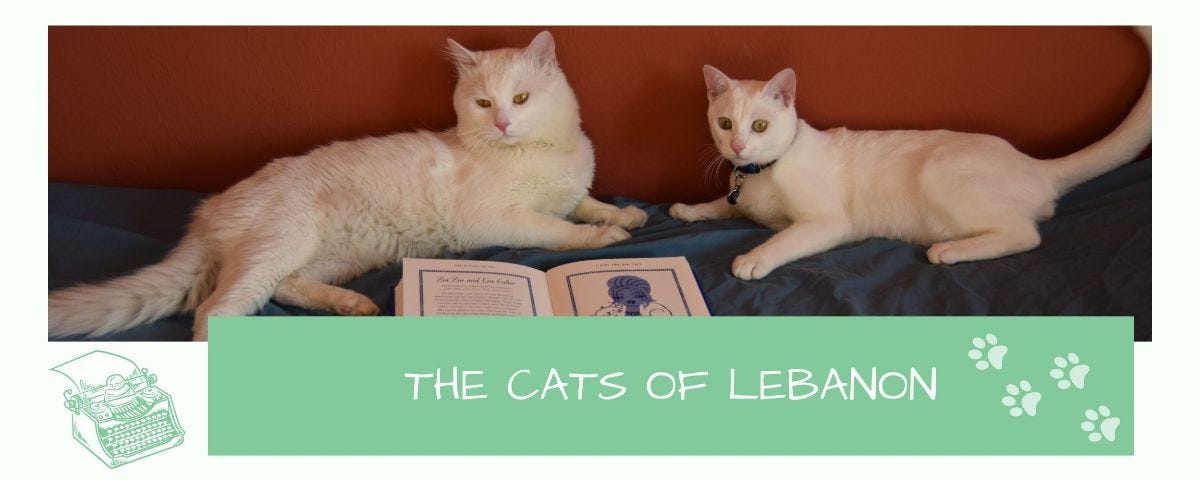 BLOG: The Cats of Lebanon