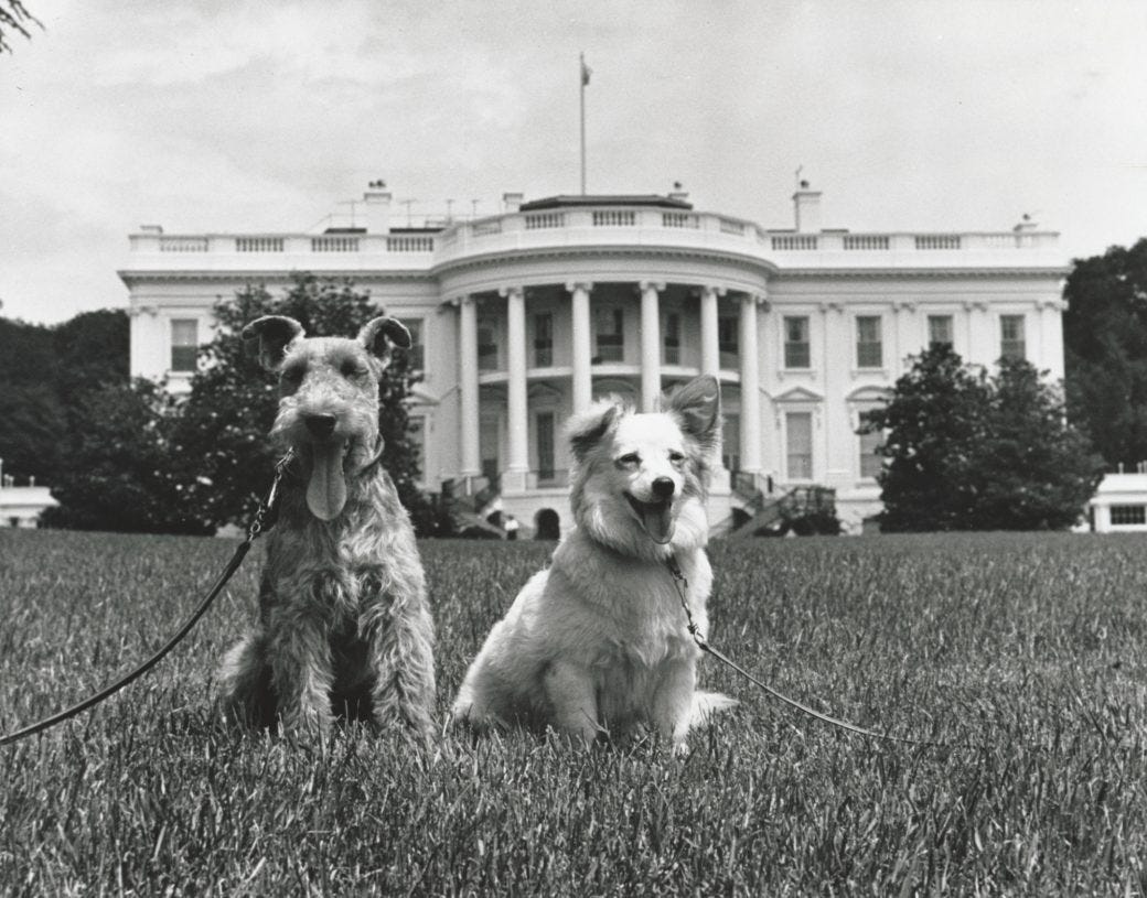 Charlie and Pushinka on the South Lawn - White House Historical Association
