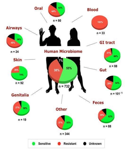 human microbiome