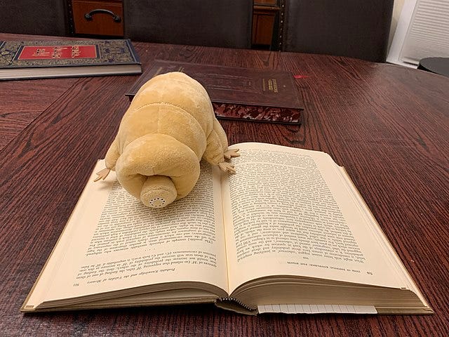 A stuffed tardigrade is placed on top of a book