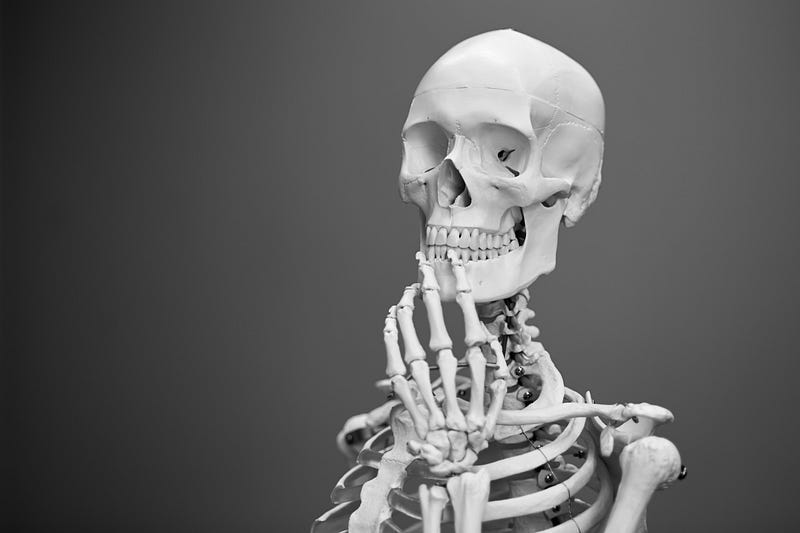 a model skeleton posed so that it looks as if it is thinking