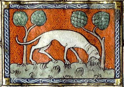 Dog Gallery | Book art, Medieval art, Medieval artwork