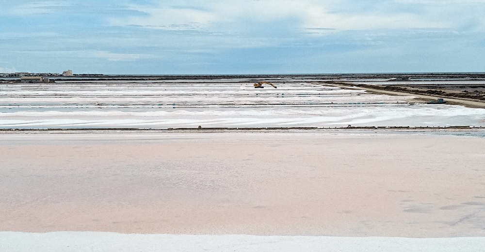 Pink salt flats at Gruissan, on the Mediterranean coast of France, near Narbonne. (c) Chris Aspinall, 2021.