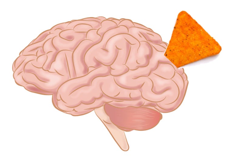 A drawing of a brain, with a large nacho chip embedded in it