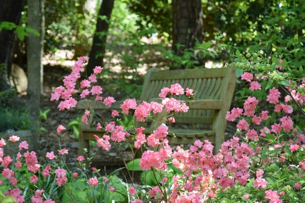 FAQ: What is the Memorial Garden and how can I support Duke Gardens through  a planned gift? - Giving To Duke
