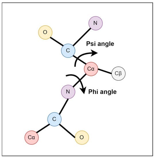 TAFPred: Torsion Angle Fluctuations Prediction from Protein Sequences