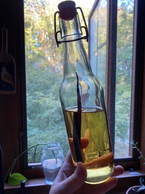 swing top bottle with a vanilla bean and vodka