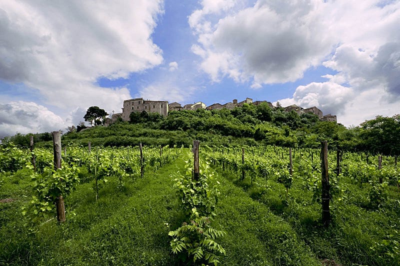 Feudi San Gregorio's vineyards are in Irpinia in the Campanian Appenines.