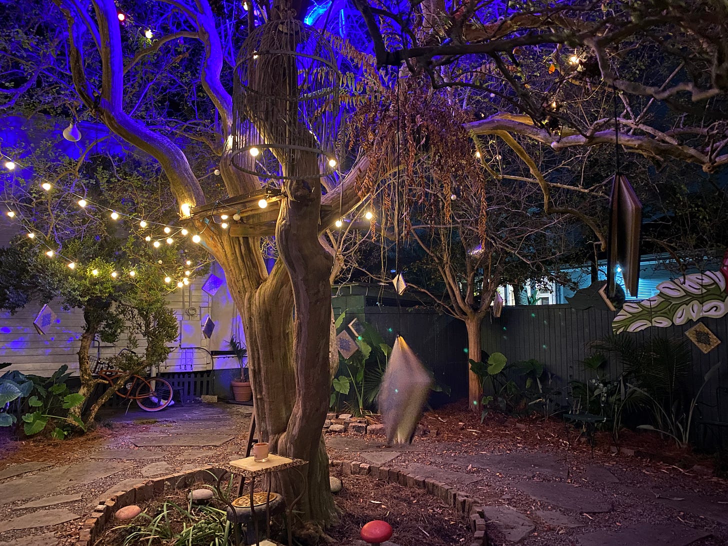 A tree in a courtyard, covered in fairy lights, with grimoires hanging from its branches