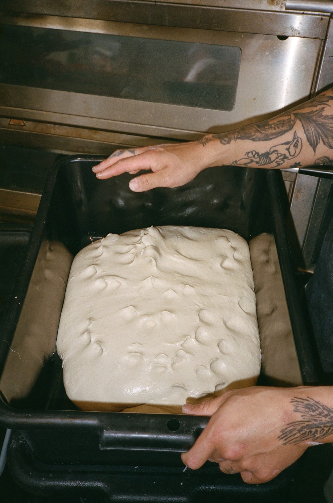 Proofing dough