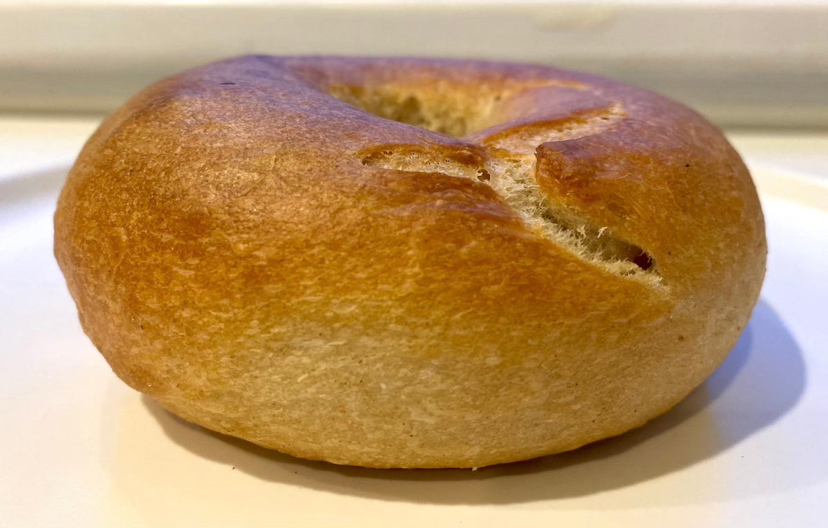 Oxbow plain bagel