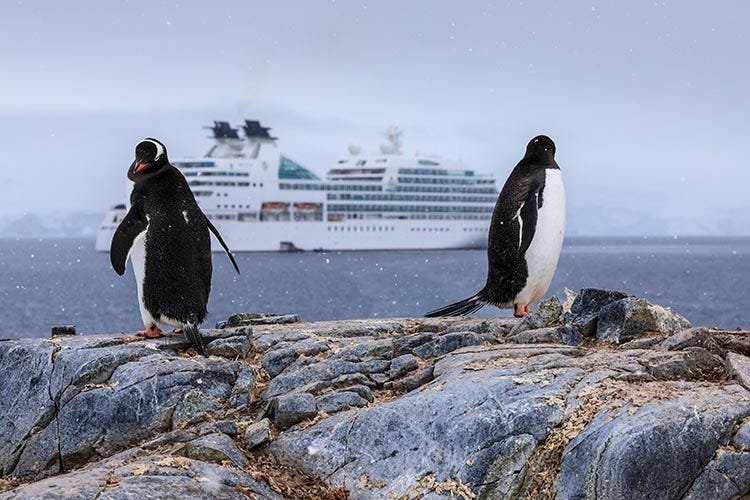 Two penguins check out a cruise ship in Wiencke Island, Antarctica