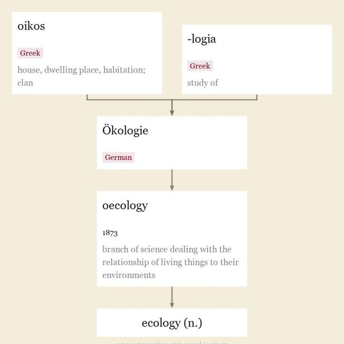 Origin and meaning of ecology