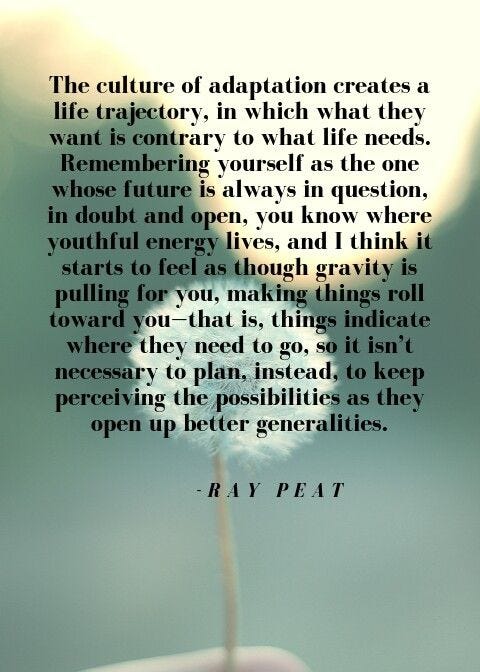 Ray peat life quote | Life quotes, What is life about, Quotes