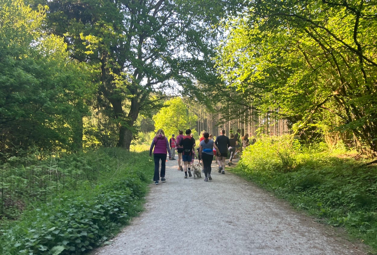 A wide path bordered on both sides by trees with bright sunshine shining through