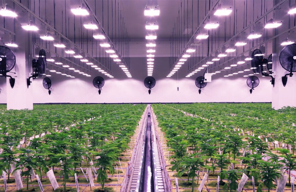 Facilities - Cannara Biotech