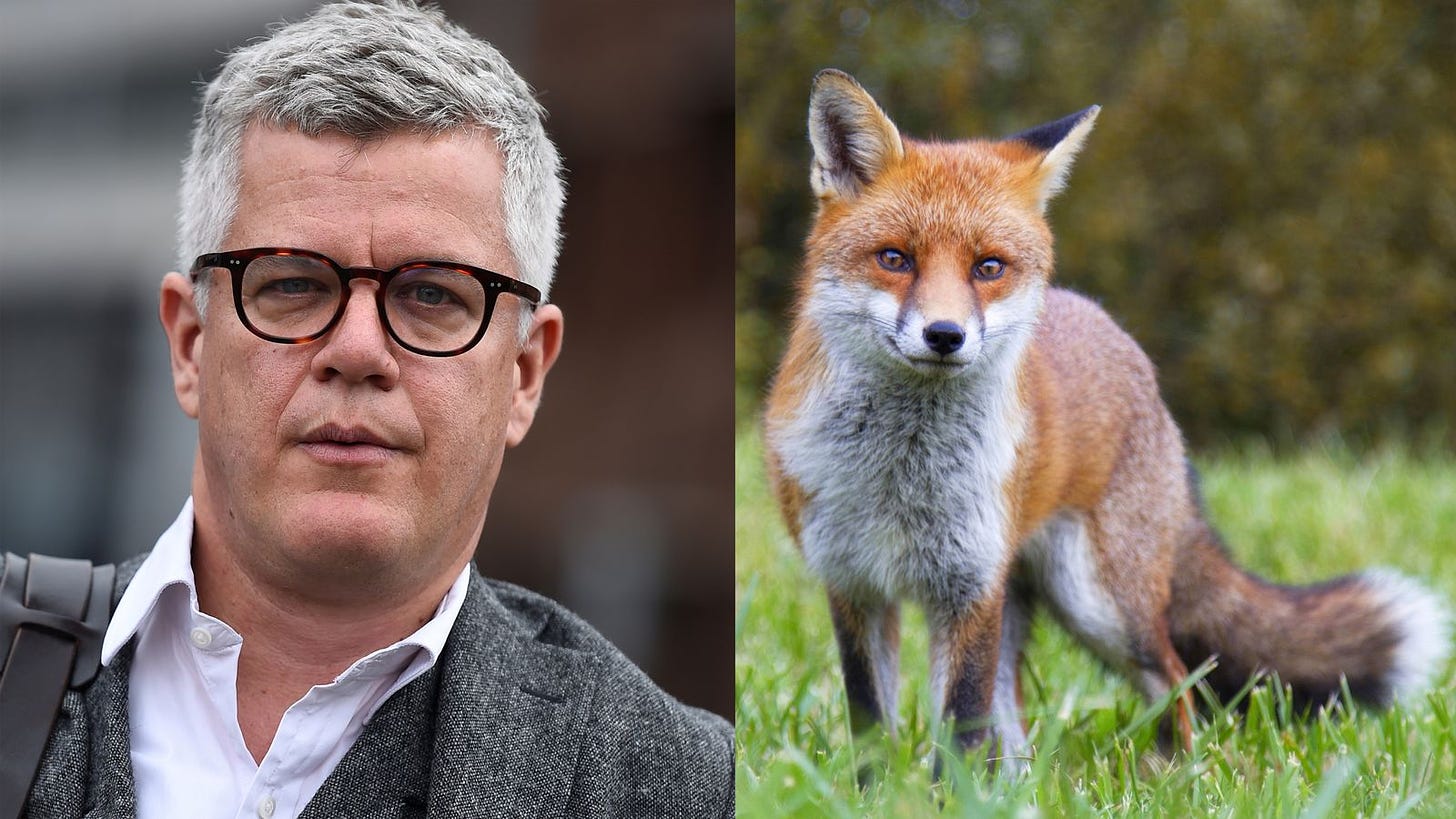 Jolyon Maugham: Lawyer who killed fox with baseball bat will not be ...