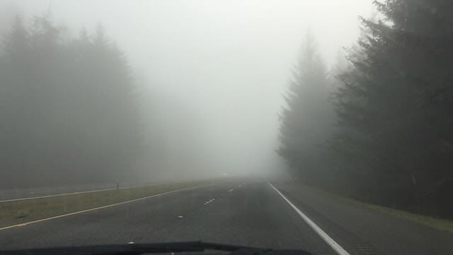 A highway view flanked by large trees, with a dense fog as seen through a windshield of a car