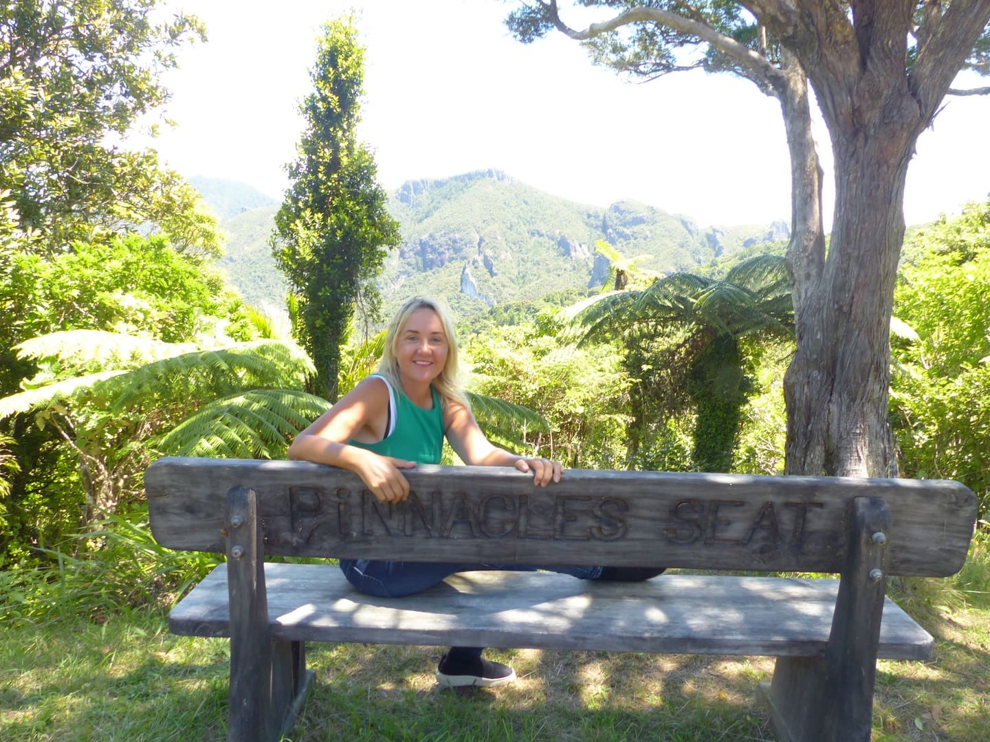 Nikki Kaye in part of the Aotea Conservation Park on Great Barrier Island. Photo / Audrey Young