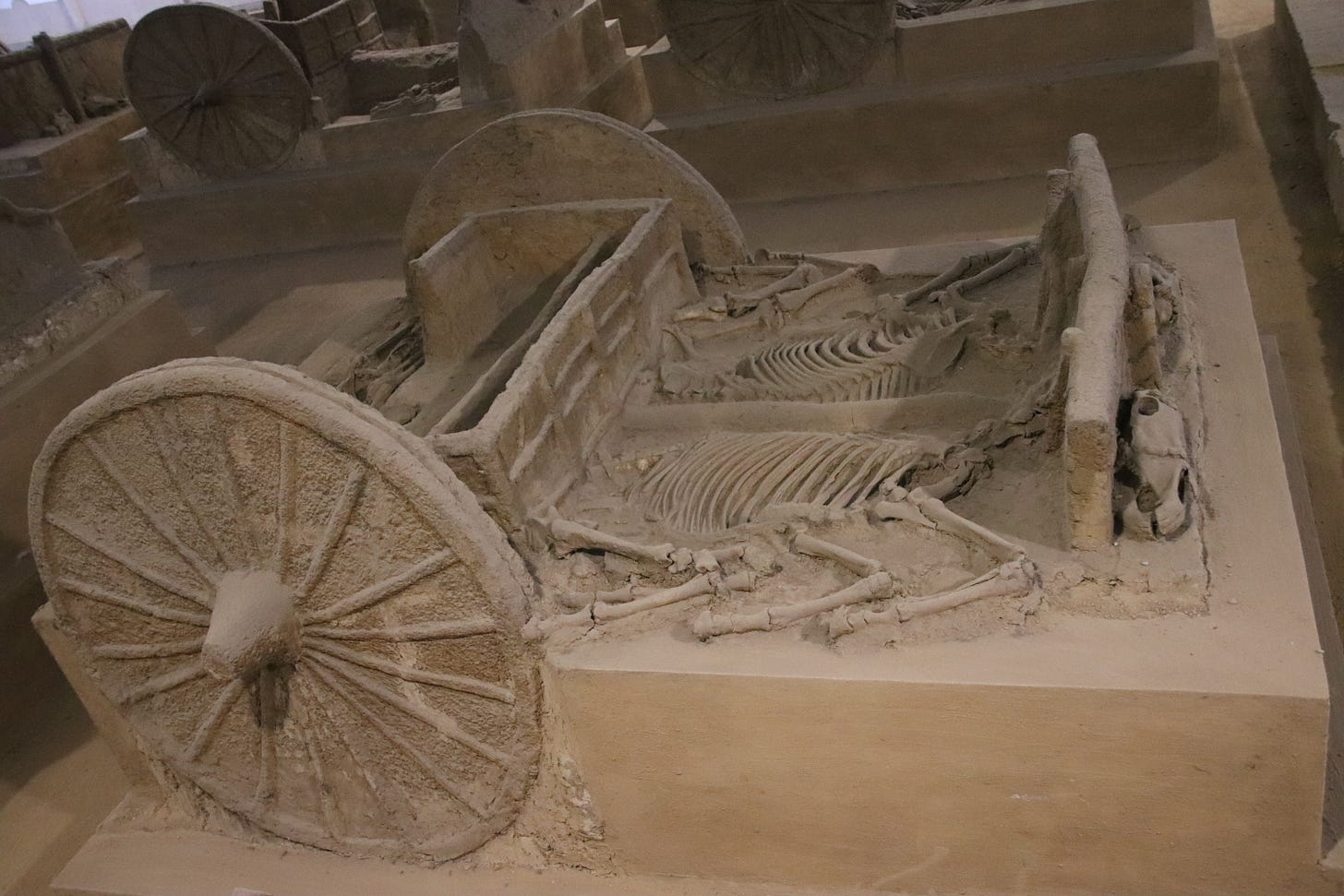 File:Shang Chariot Burial 01.jpg - Wikimedia Commons
