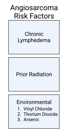 Angiosarcoma Risk Factors