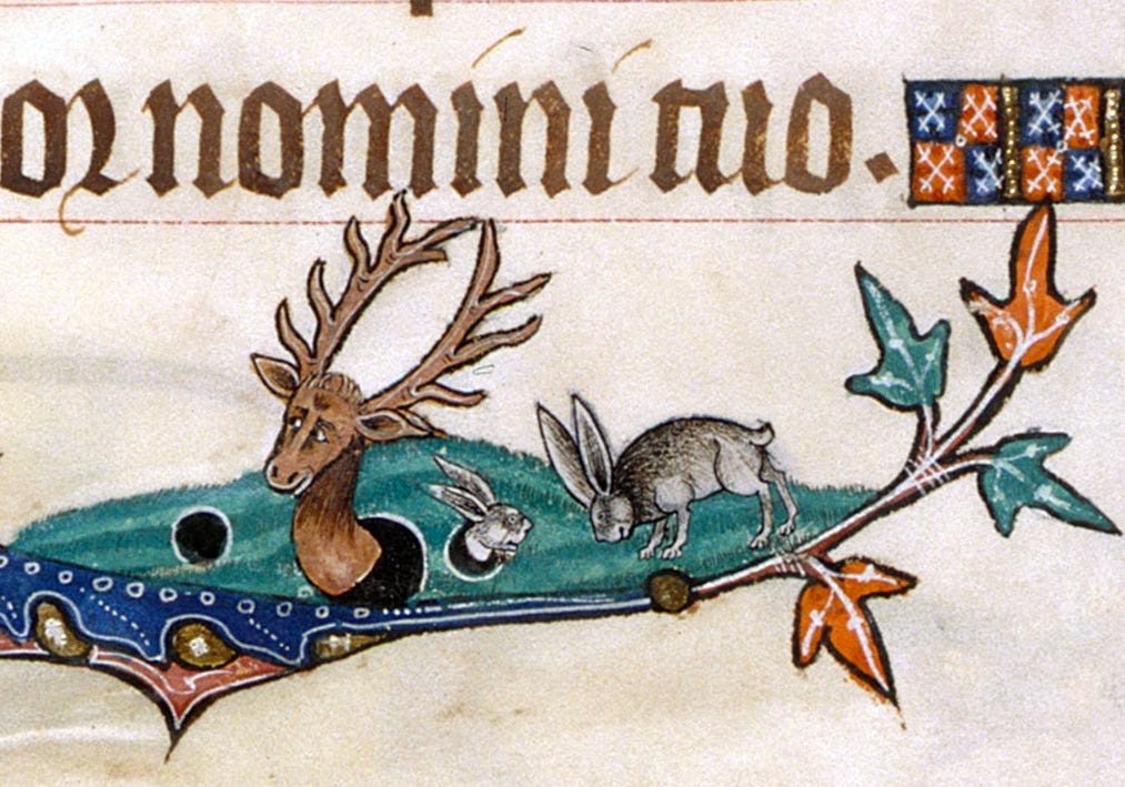 discarding images — stag in a rabbit hole Gorleston Psalter, England...