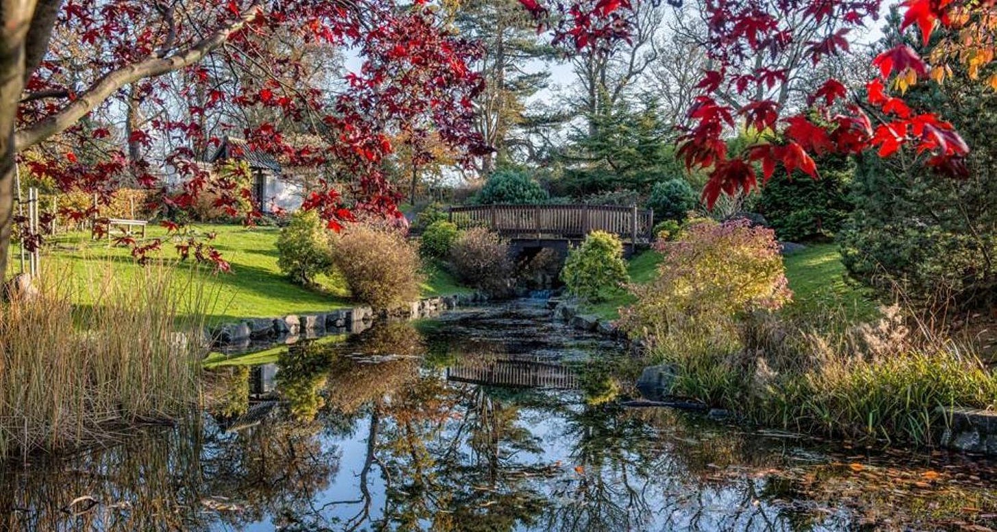 a wooden foot bridge over a pond with autumn foliage on a sunny day