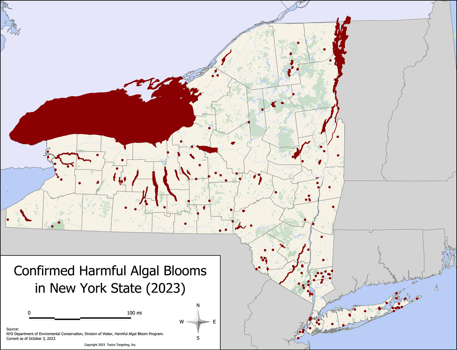 Cayuga Lake has one of NY’s highest rates of HABs: What does it mean?