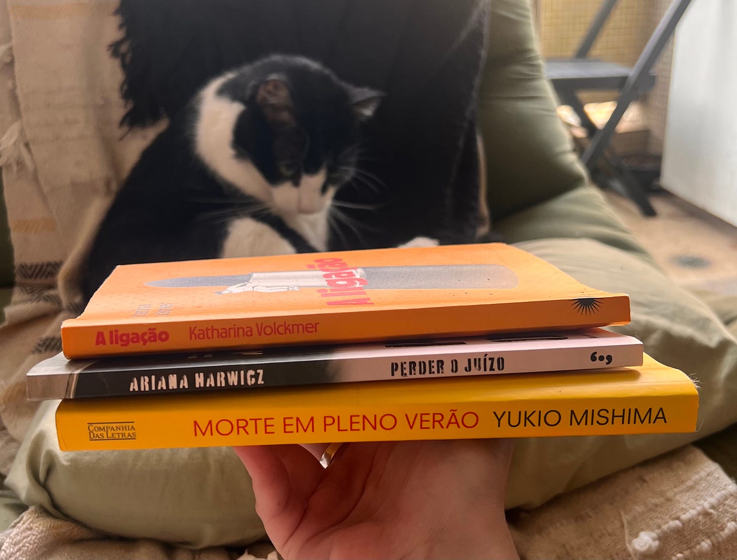 Foto mostrando a lombada de três livros: Morte em pleno verão, do Yukio Mishima, Perder o Juízo, de Ariana Harwicz, e A ligação, de Katharina Volckmer. Ao fundo, desfocado, gato horácio está sentado na poltrona se dando banho