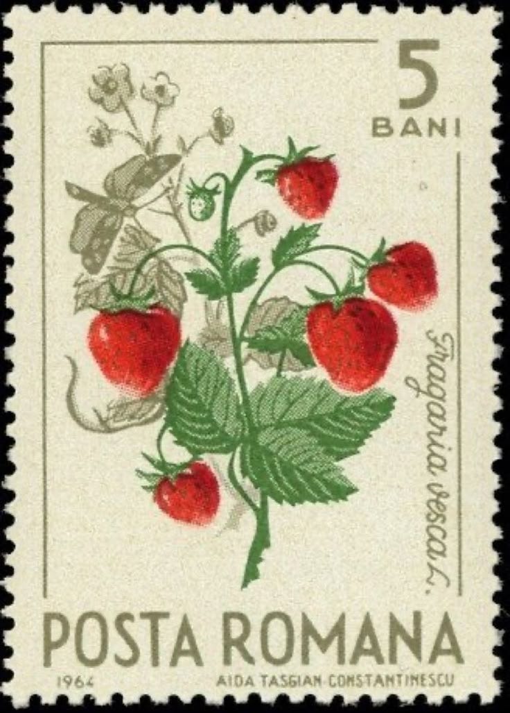 This may contain: a stamp with strawberries on it and the words posta romana written in italian