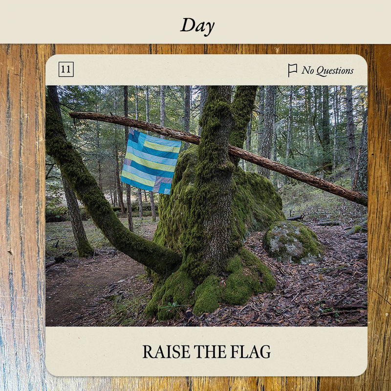 Flag Oracle card Raise the Flag