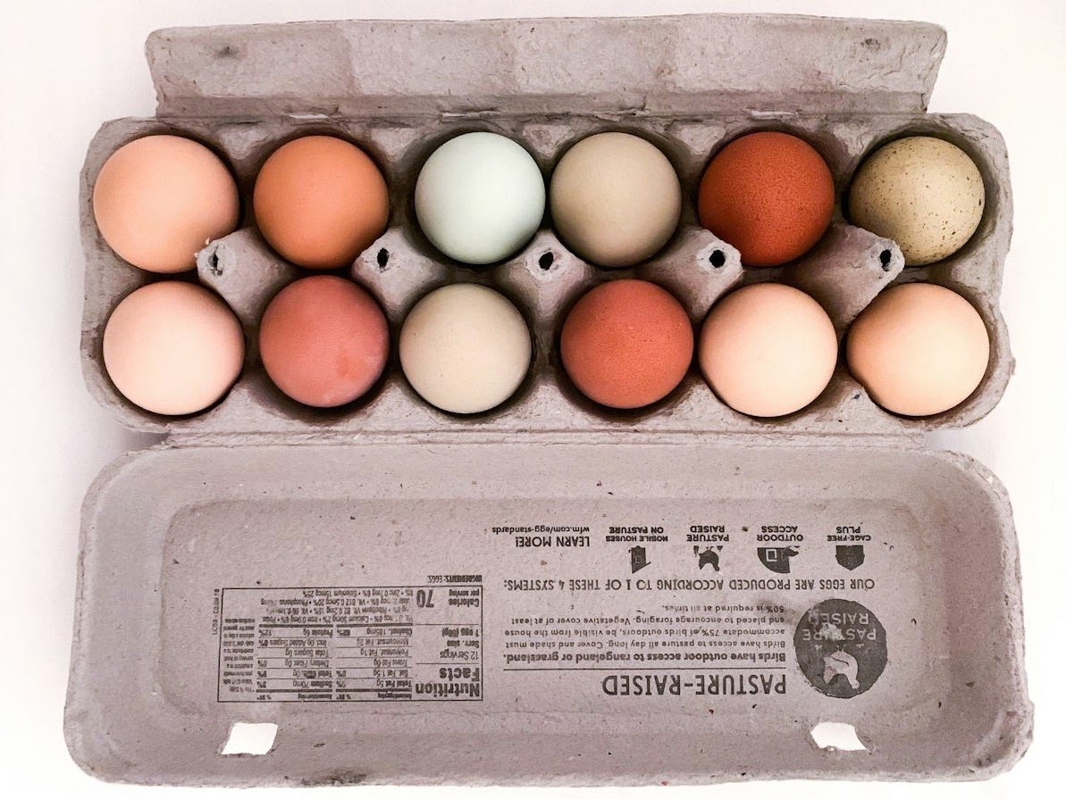 brown eggs on gray tray brown eggs on gray tray