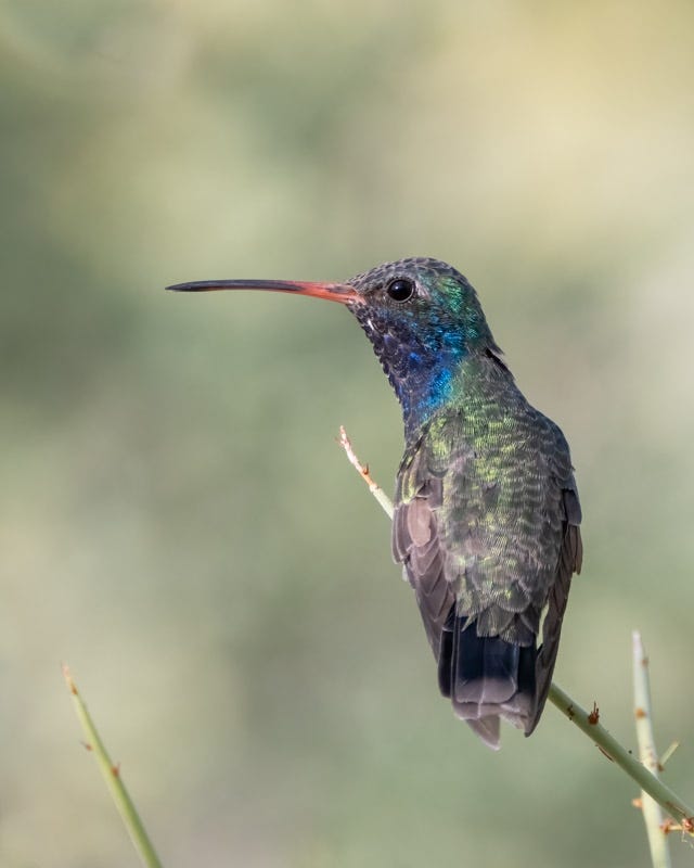 20240831-mby-12-Edit.jpg