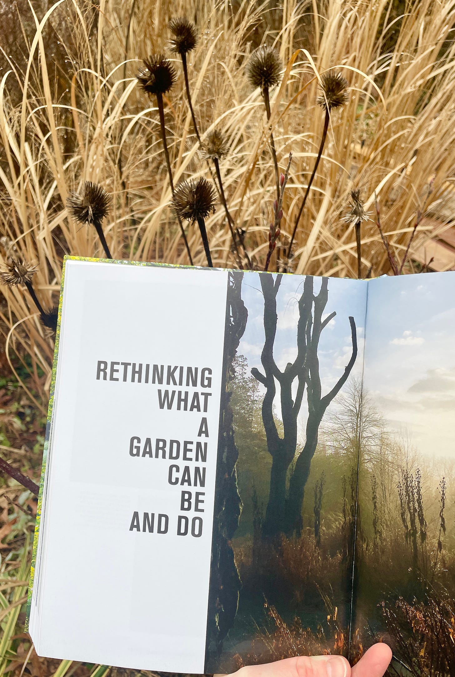 “Rethinking what a garden can be and do” in The View from Federal Twist