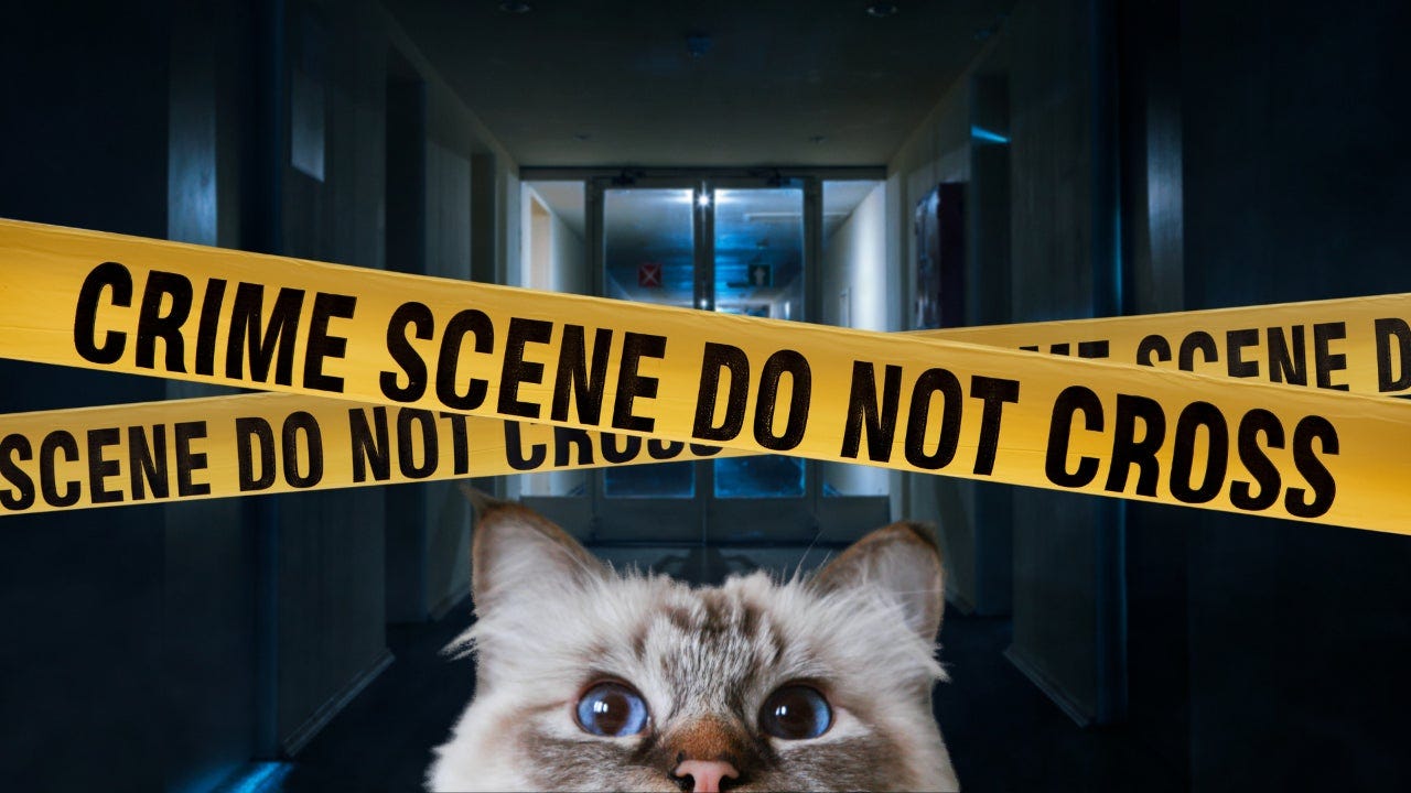Pet Cats' Fur Could Be a Surprising Source of DNA Evidence At Crime Scenes,  Reveal Forensic Scientists | The Weather Channel