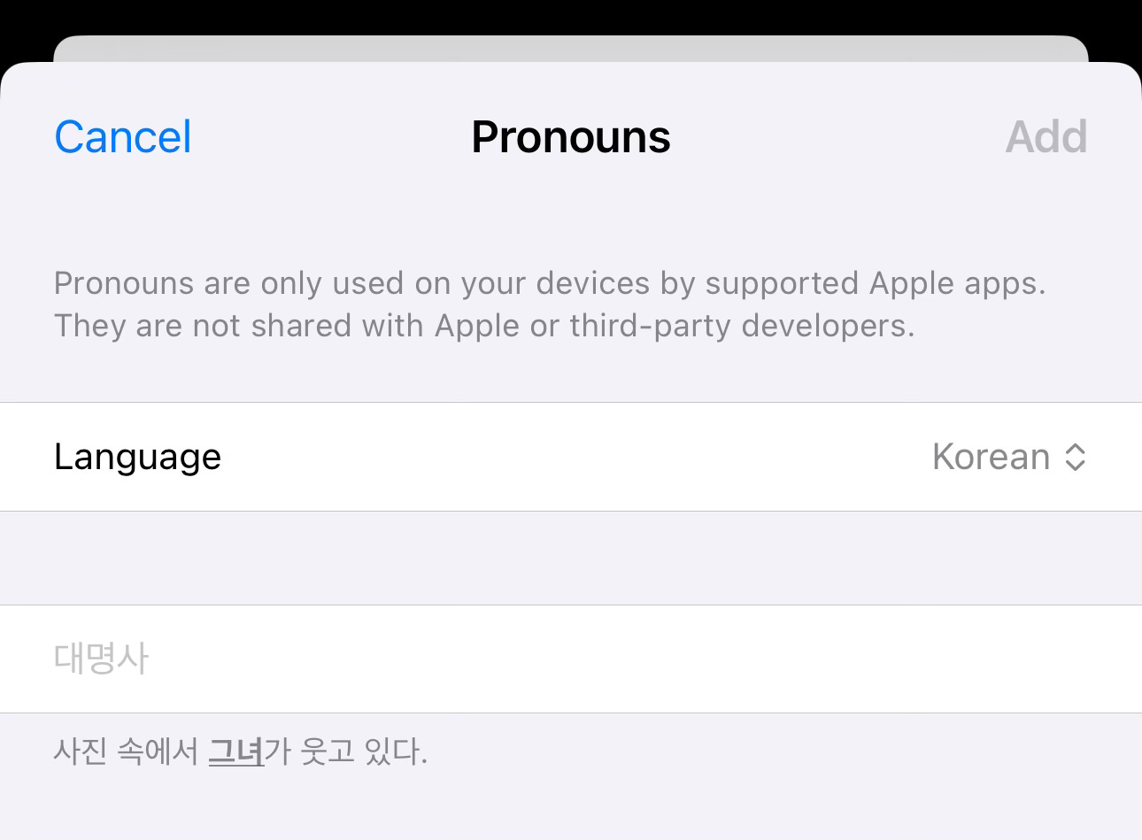Screenshot of the personalized pronouns window within the Phone app running on Light Mode in iOS 17.4.