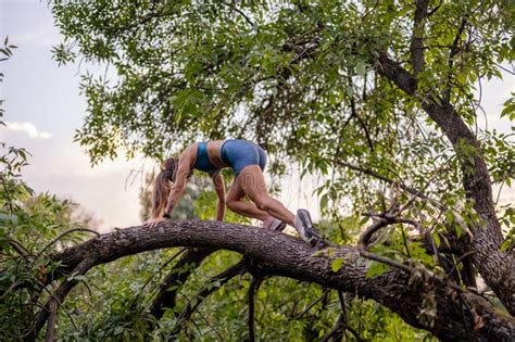 An Attractive Girl Exercises Outdoors, Climbing a Tree and Stretching ...