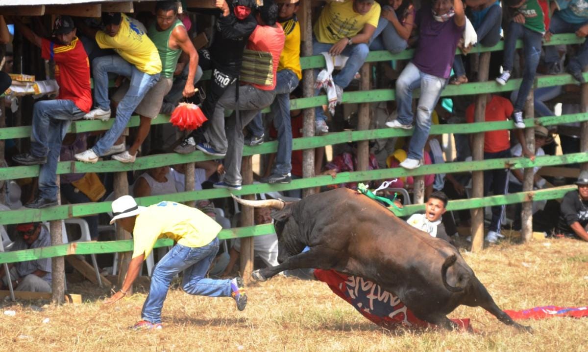 Ataque de toro a asistente a fiesta en corralejas de Sincelejo 2023 video -  Otras Ciudades - Colombia - ELTIEMPO.COM