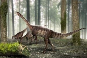 Bone cavities called air sacs appeared in the ancestors of long-necked dinosaurs about 225 million years ago, according to the analysis of a specimen found in Rio Grande do Sul state, South Brazil. The study also shows that air sacs did not evolve as linearly as scientists believe (credit: Márcio L. Castro)