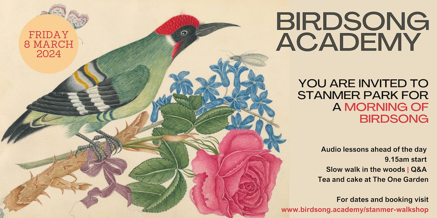 Flyer for Birdsong Academy walkshop at Stanmer Park Friday 8 March featuring illustration of green woodpecker