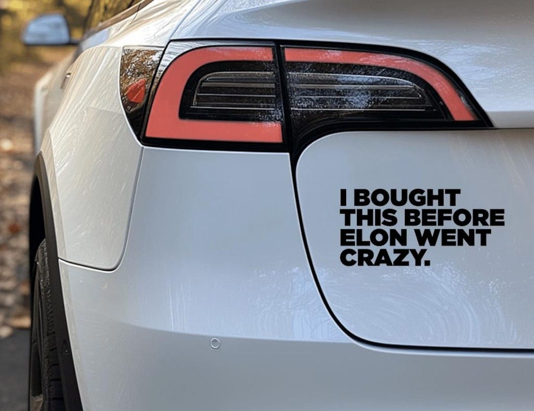 I Bought This Before Elon Went Crazy - Sons of Battery Original - Anti Elon  Vinyl Cut Sticker - Etsy UK