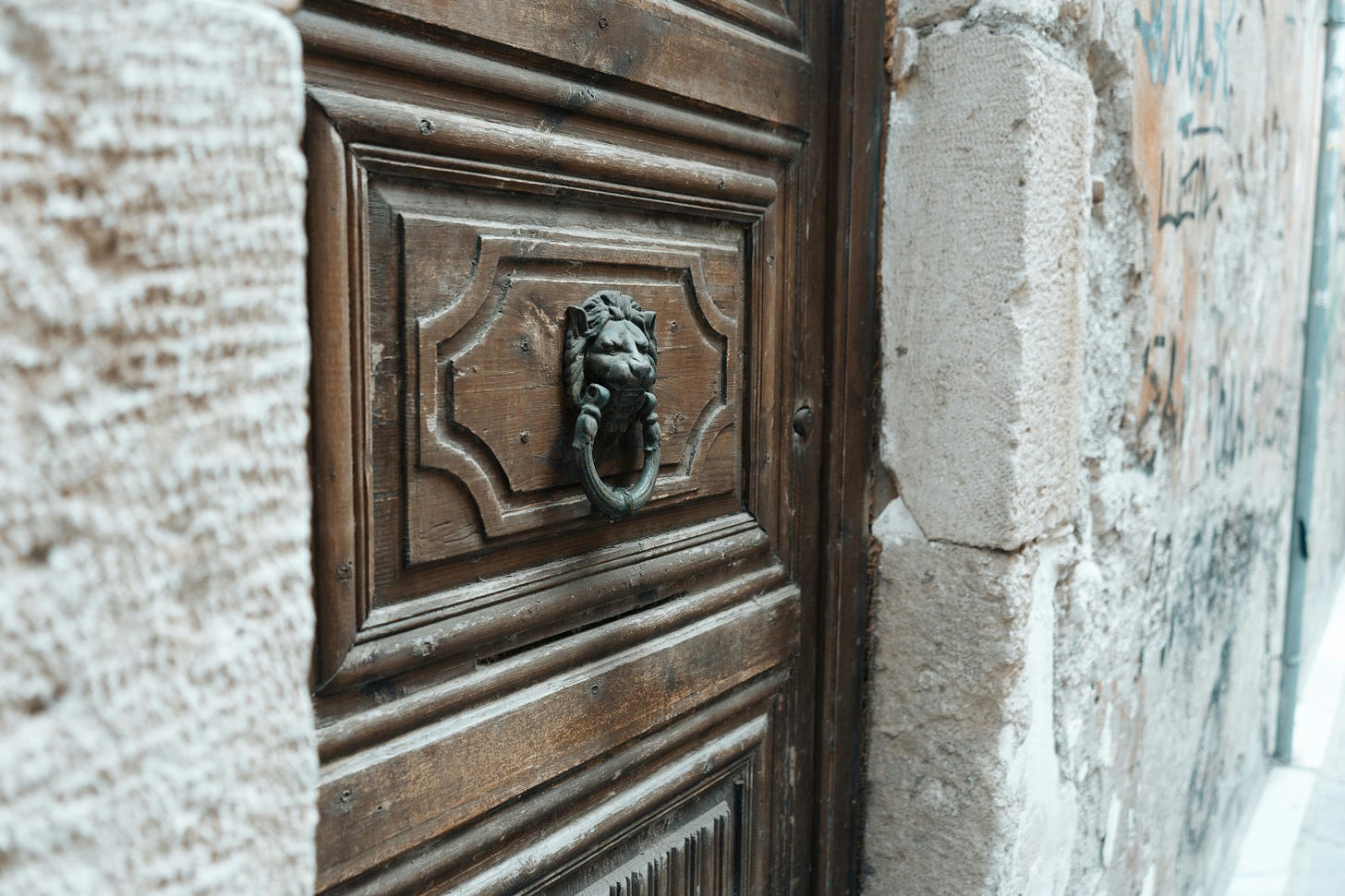 Image of a section of a wooden door with an iron lion knocker mounted.