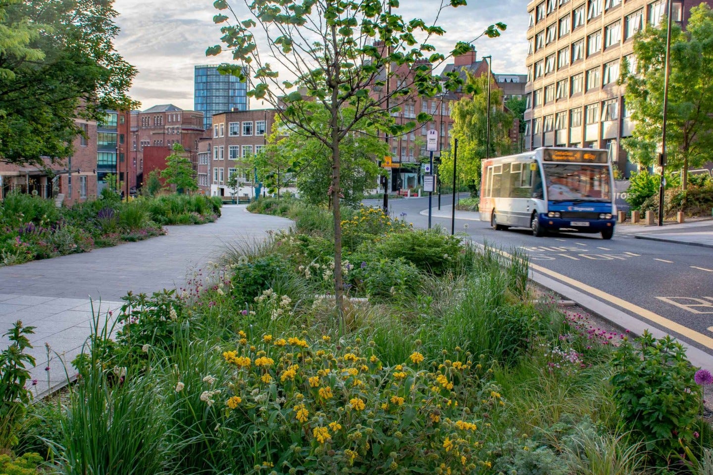 Grey to Green, Sheffield (nigeldunnet.com)