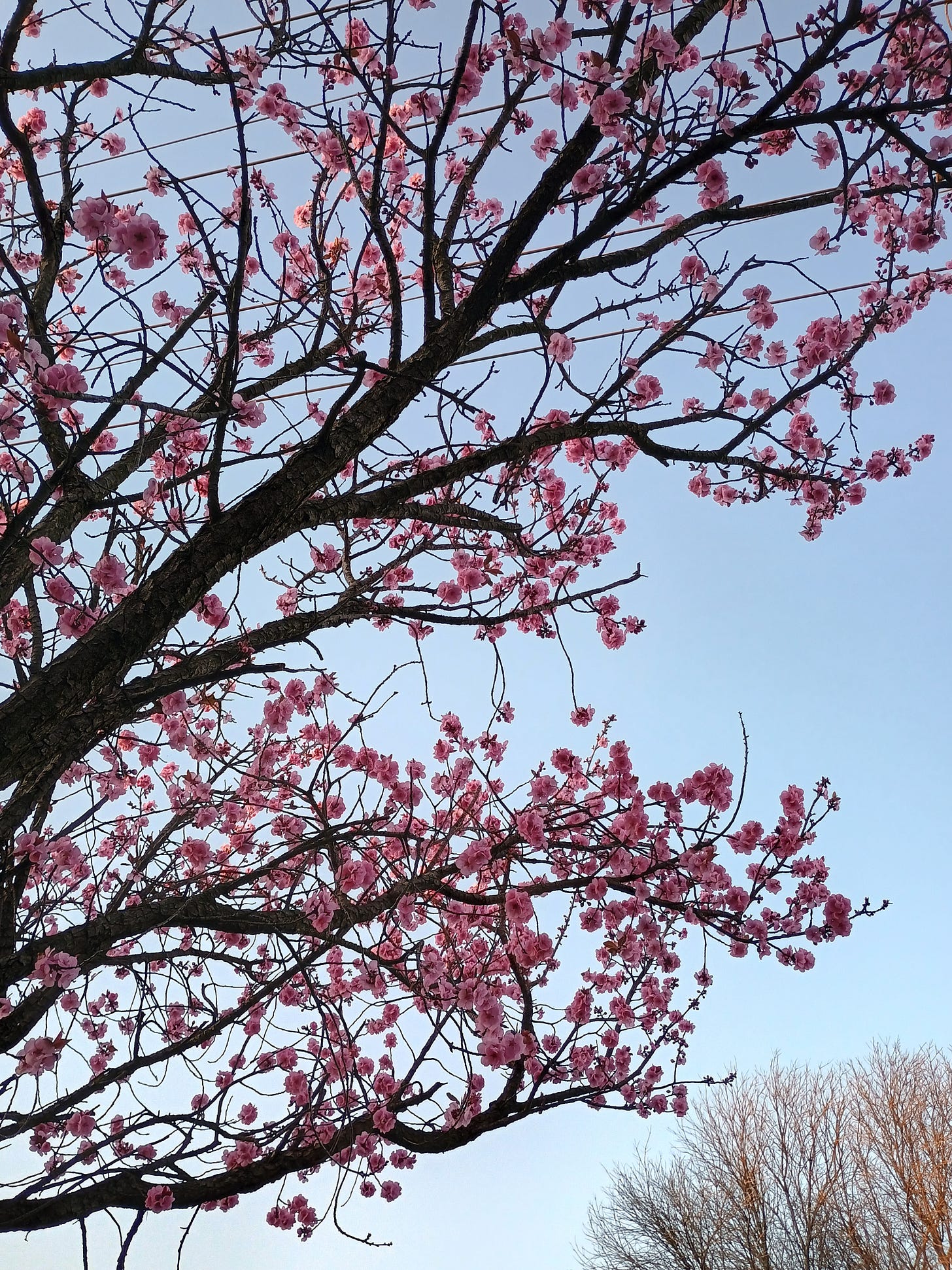 Of late... by Naomi Hope & Motion blog & newsletter